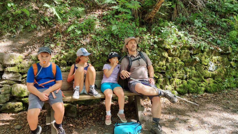 ארטיגה דה לין